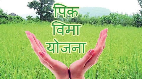 Pik Vima Yojana