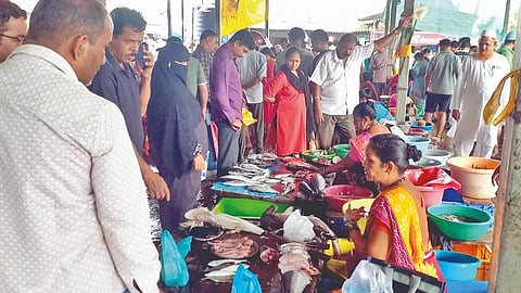 Festive Season Fish Demand
