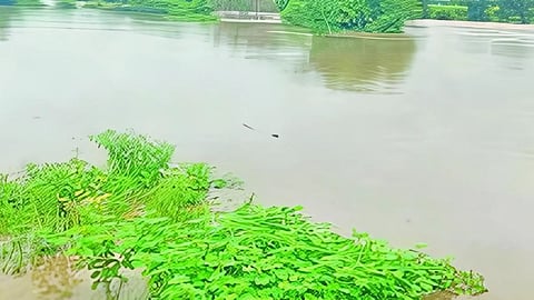 Beed Heavy Rain