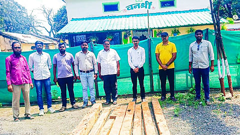 Illegal Teak Wood Stock