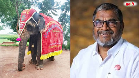 Nandani Math Madhuri elephant returning