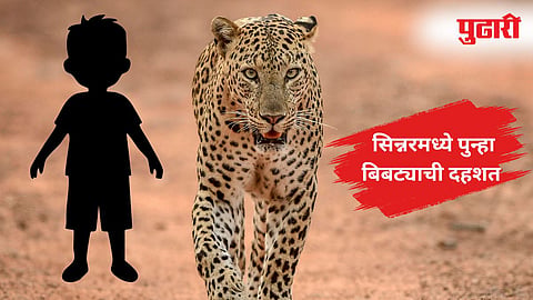 Nashik Leopard Attack