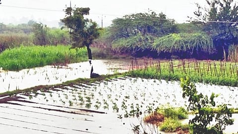 Heavy Rainfall