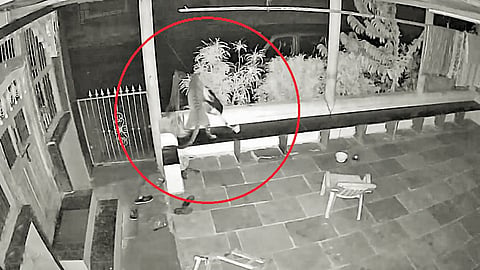 Leopard Attack