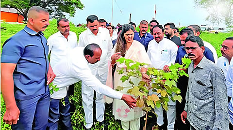 Jalna Rain Damage