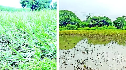 Killari Cloudburst Rain