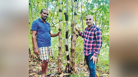 Ratnagiri News