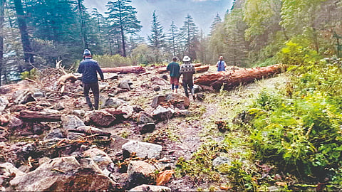 heavy rainfall uttarakhand himachal weather alert