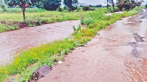 Satara Rain |