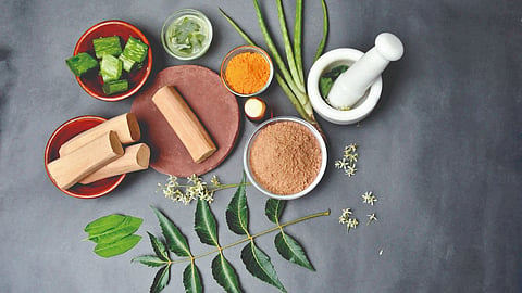 Ayurveda Day 2025