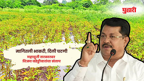 Nagpur news