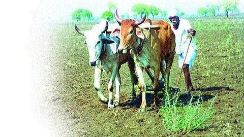 Farmer welfare issue
