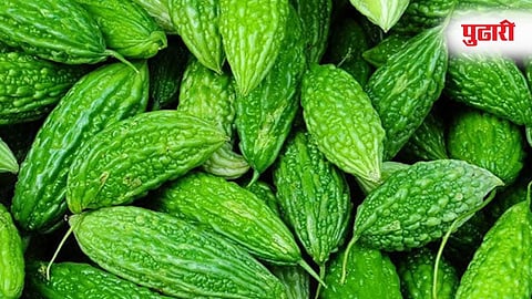 Karela Side Effects