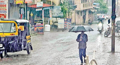 Satara Rain |