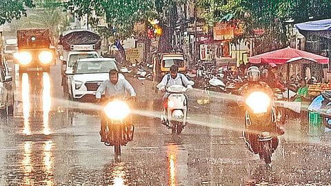 Sangli heavy rain News