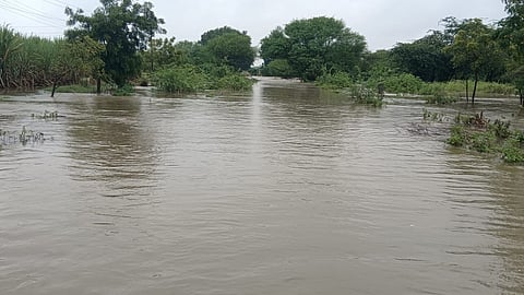 Ausa Heavy Rain