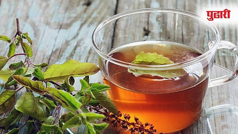 Tulsi Water Benefits