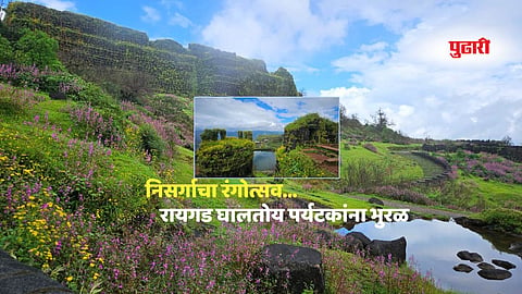 Raigad news