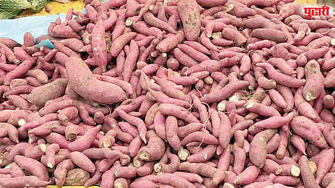 Chakan vegetable market