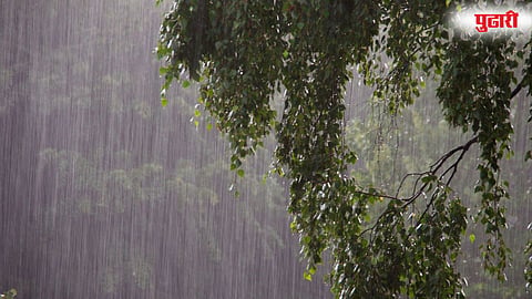 Rainfall India 2025