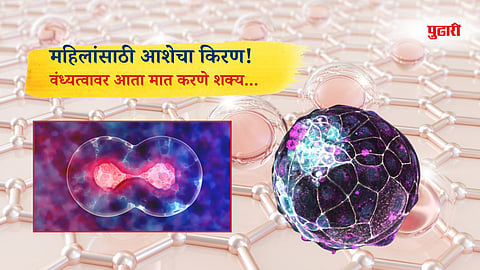 Female infertility