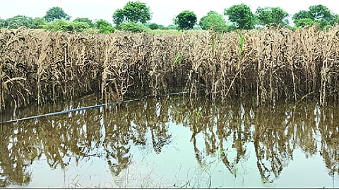Sinnar Heavy Rain