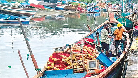 Fishermen Alert