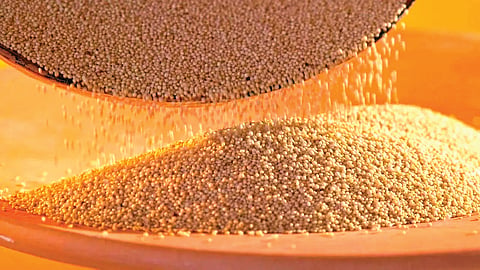 Rajgira flour is a superfood