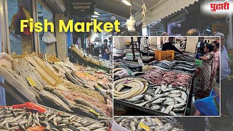 Fish price market update Ganesh Peth