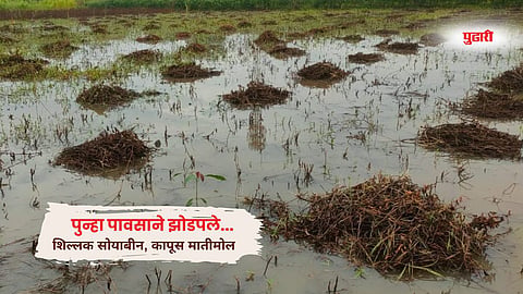 Parbhani Heavy Rain