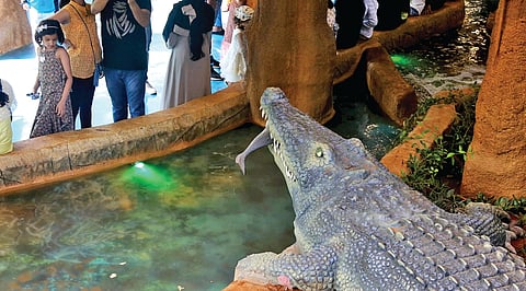 BMC wildlife care project