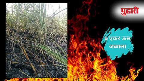 Hingoli Sugarcane Fire