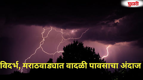 Vidarbha Marathwada Rainfall