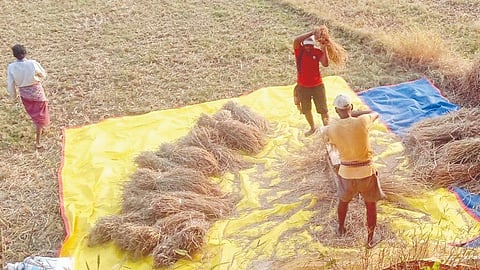 Agricultural Mechanization
