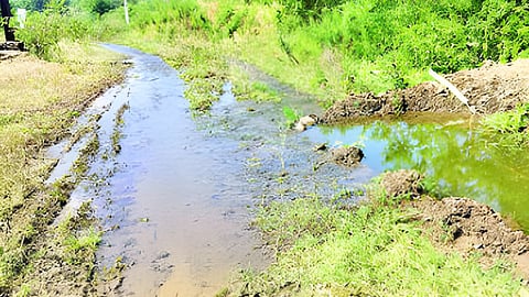 Ajanta Water News