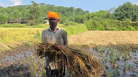 Crop damage