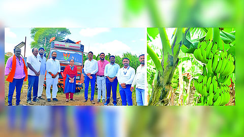 Bananas from Ahmedpur directly to Iranian market