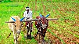 Farmer aid Kalyan