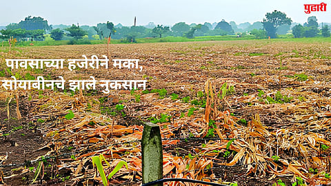 Jalna Rain Damage