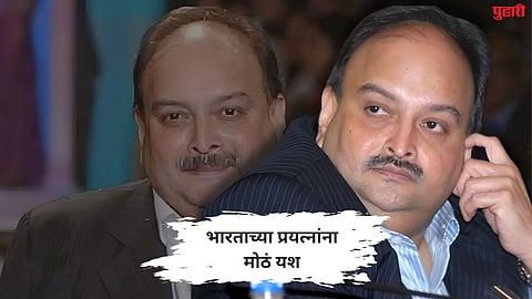 pnb scam mehul choksi