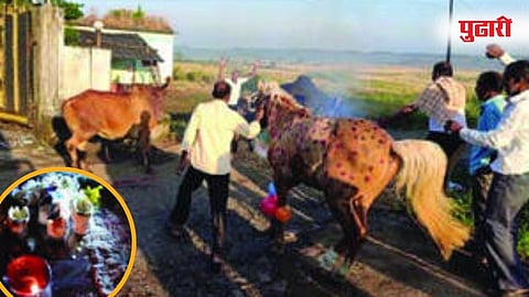 Diwali in Rural : ग्रामीण भागात पारंपरिक दिवाळी; निसर्गासह नाती उजळवून टाकणारा उत्सव