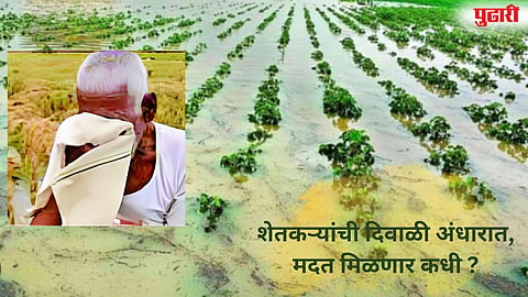Heavy Rains Agriculture Damage