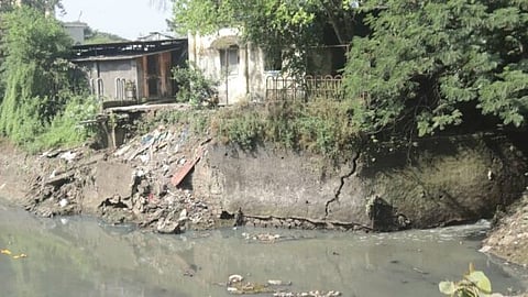 KDMC News : कल्याणातील श्वान निर्बिजीकरण केंद्रात चालतोय गैरव्यवहार