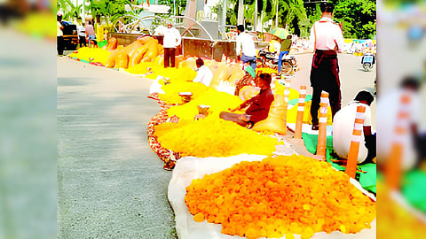 Marigold Prices Drop