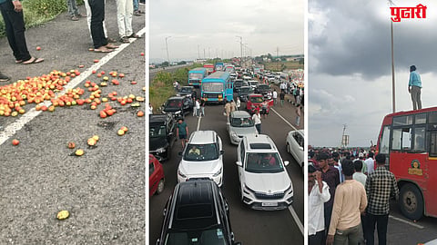 Tomato Price Crash