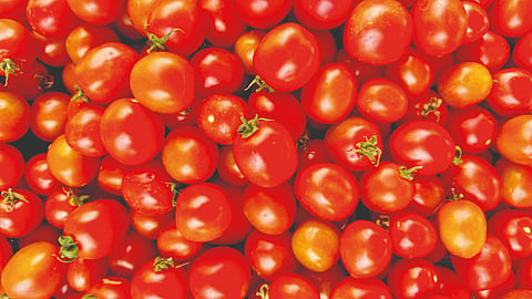 Tomato More Expensive Than Chicken