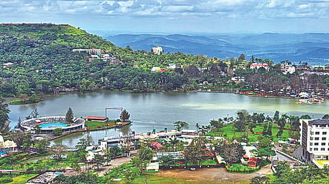 wani, nashik