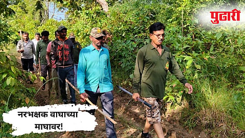 Chandrapur Tiger Attack