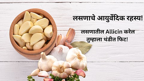 Garlic Benefits in Winter