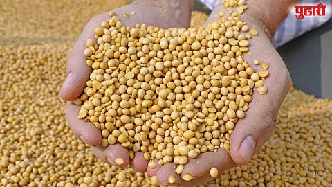 Soybean Purchasing Center